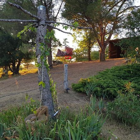 L'Houstalet Des Serniers Claveyson Exterior foto